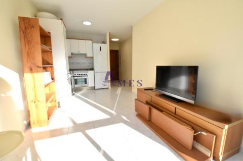 Salon comedor y cocina americana