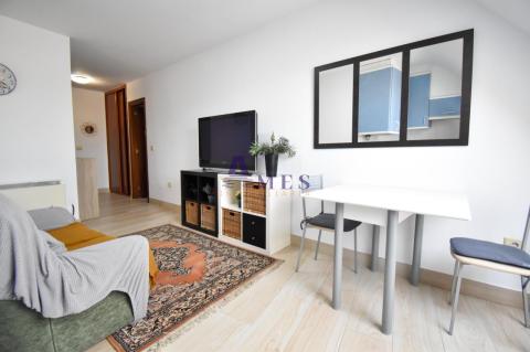 Salon comedor y cocina americana